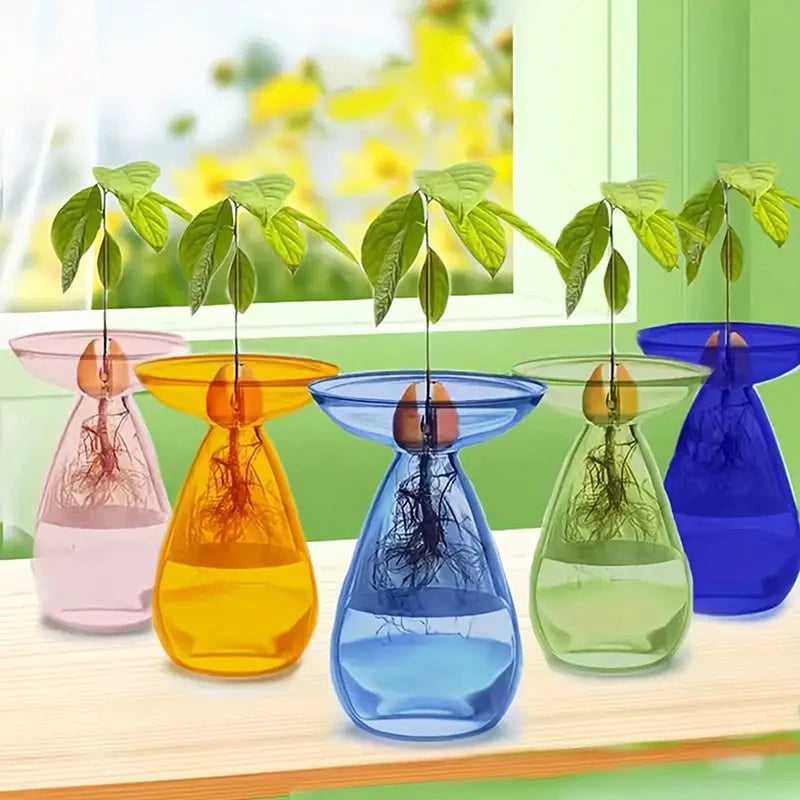 Transparent Avocado Hydroponic Vase Glass Seed Starter Kit Home Decor
