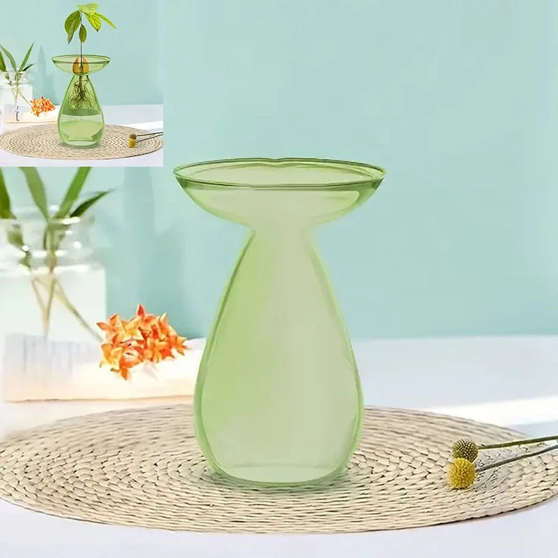 Transparent Avocado Hydroponic Vase Glass Seed Starter Kit Home Decor