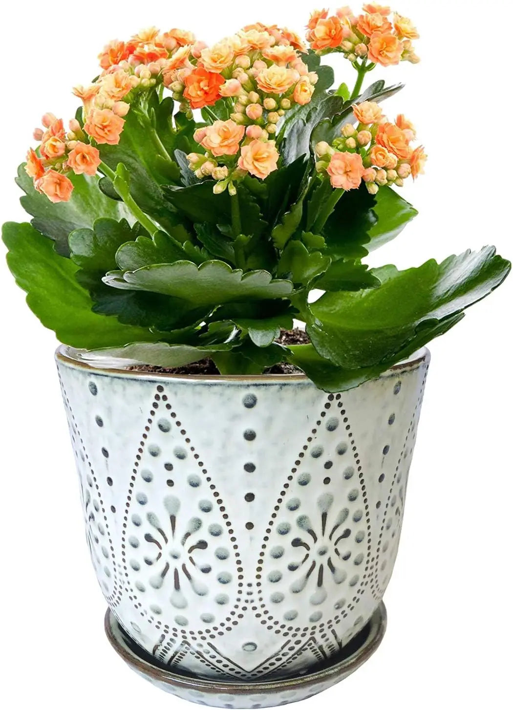 Ceramic Planter Set Of 2 With Drainage Holes And Saucers