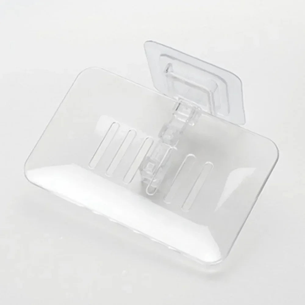 Stonego Shell Soap Box Holder Wall Mount for Bathroom