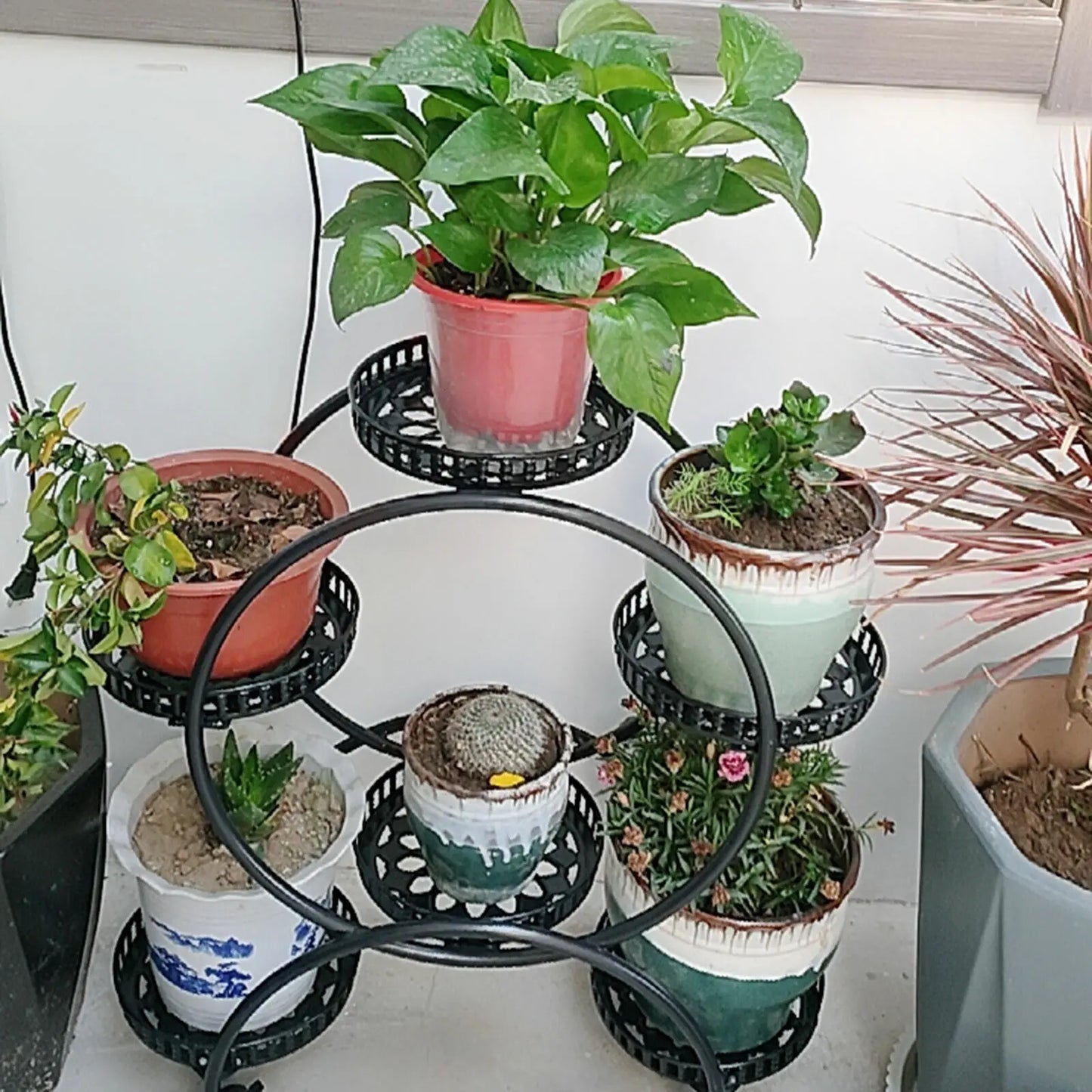 Bymaocar 6 Tier Metal Plant Stand Pot Rack Indoor Outdoor