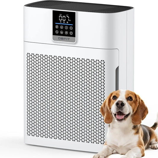 Air Purifier For Rooms With HEPA Filter PM25 Sensor