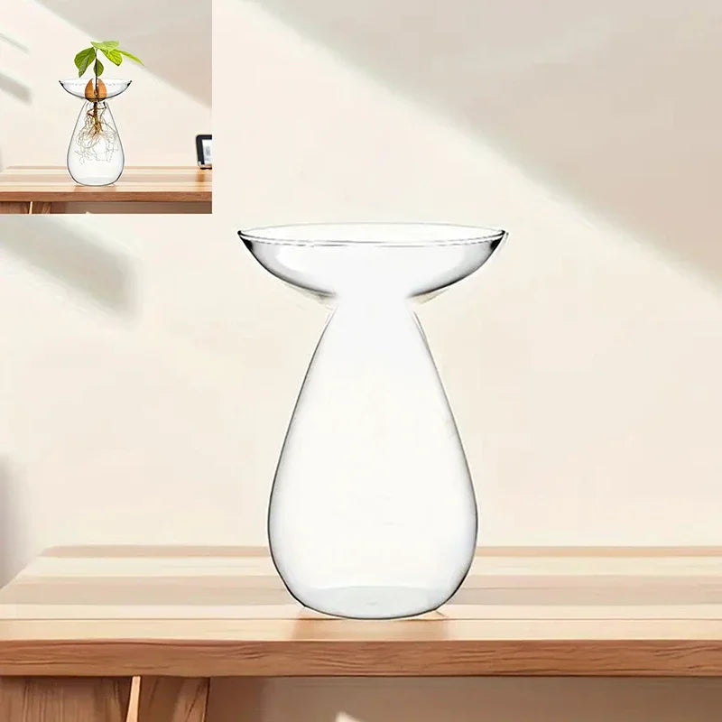 Transparent Avocado Hydroponic Vase Glass Seed Starter Kit Home Decor