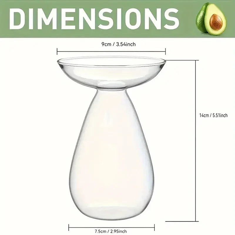 Transparent Avocado Hydroponic Vase Glass Seed Starter Kit Home Decor