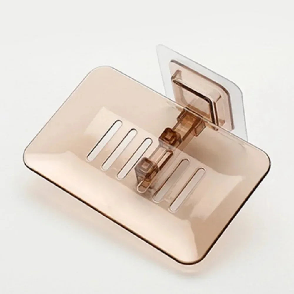 Stonego Shell Soap Box Holder Wall Mount for Bathroom