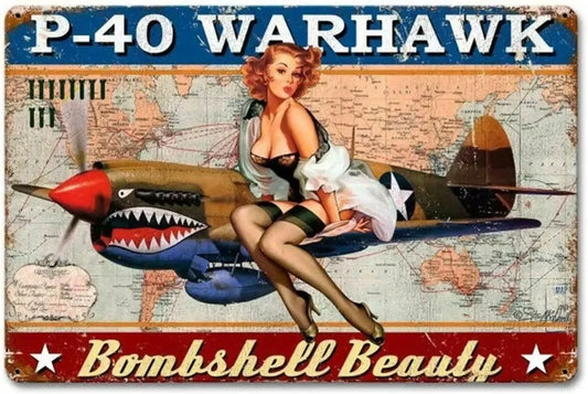 Metal Tin Sign P40 Warhawk Pin Up Girl Vintage Decor