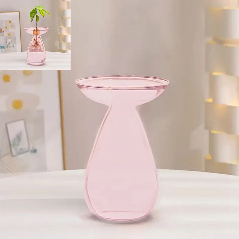 Transparent Avocado Hydroponic Vase Glass Seed Starter Kit Home Decor