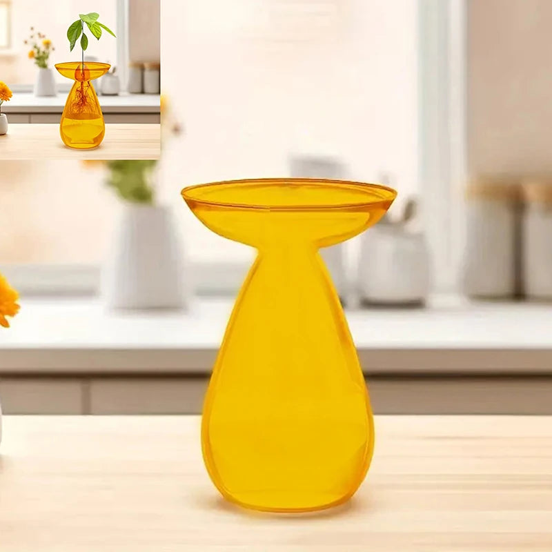 Transparent Avocado Hydroponic Vase Glass Seed Starter Kit Home Decor